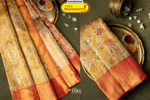  Kanchi-Tissue-sarees